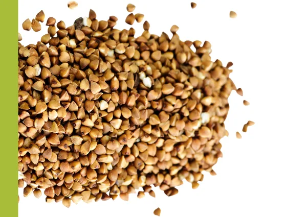 Grains